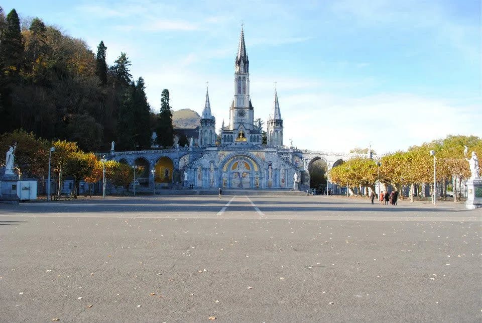 Paved road leading to a historical spired building lined with trees under a clear sky. 