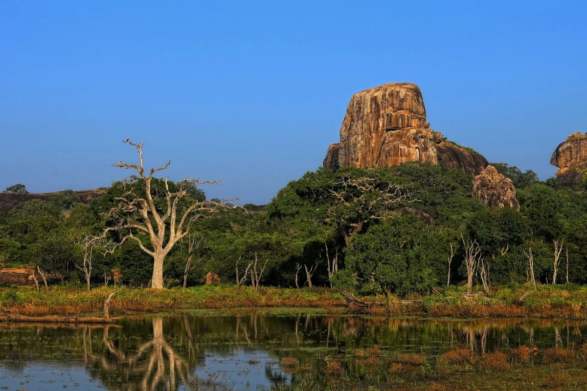 Yala National Park – a lake with trees and a tall rock formation in the background.