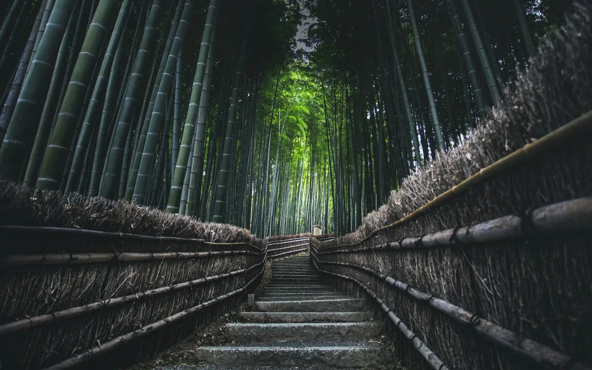 Fusihimi Inari, Kyoto, Japan