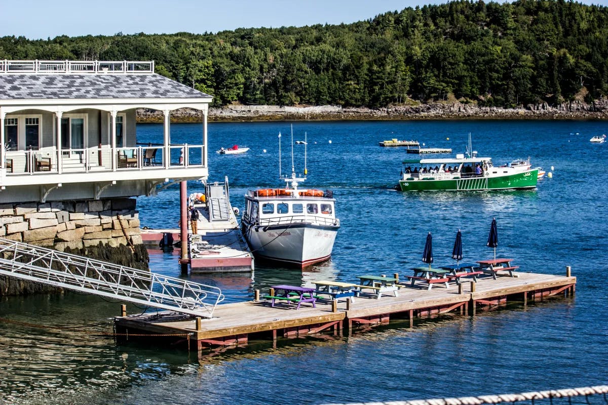 dock with boats