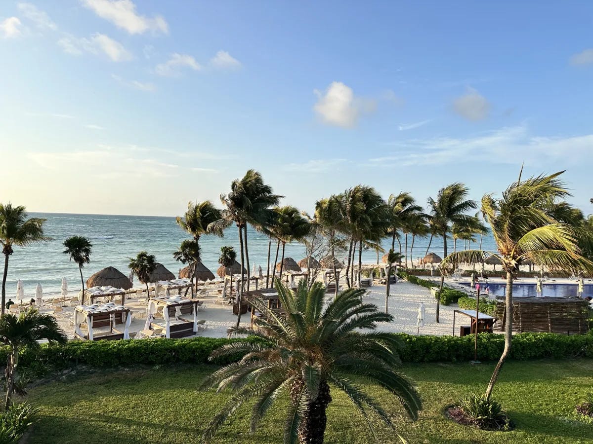 Beach club with beach view and palm trees