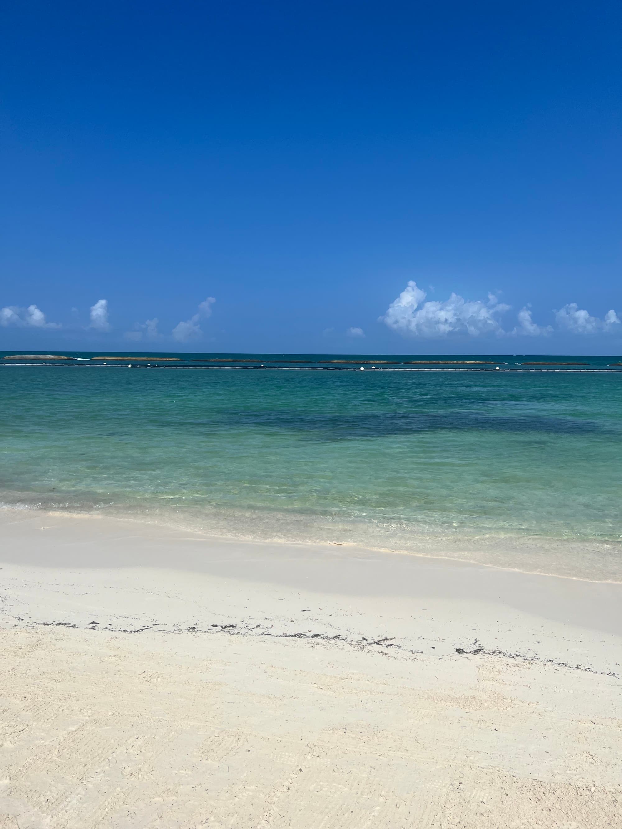 Rosewood beach during the day with a clear sky. 