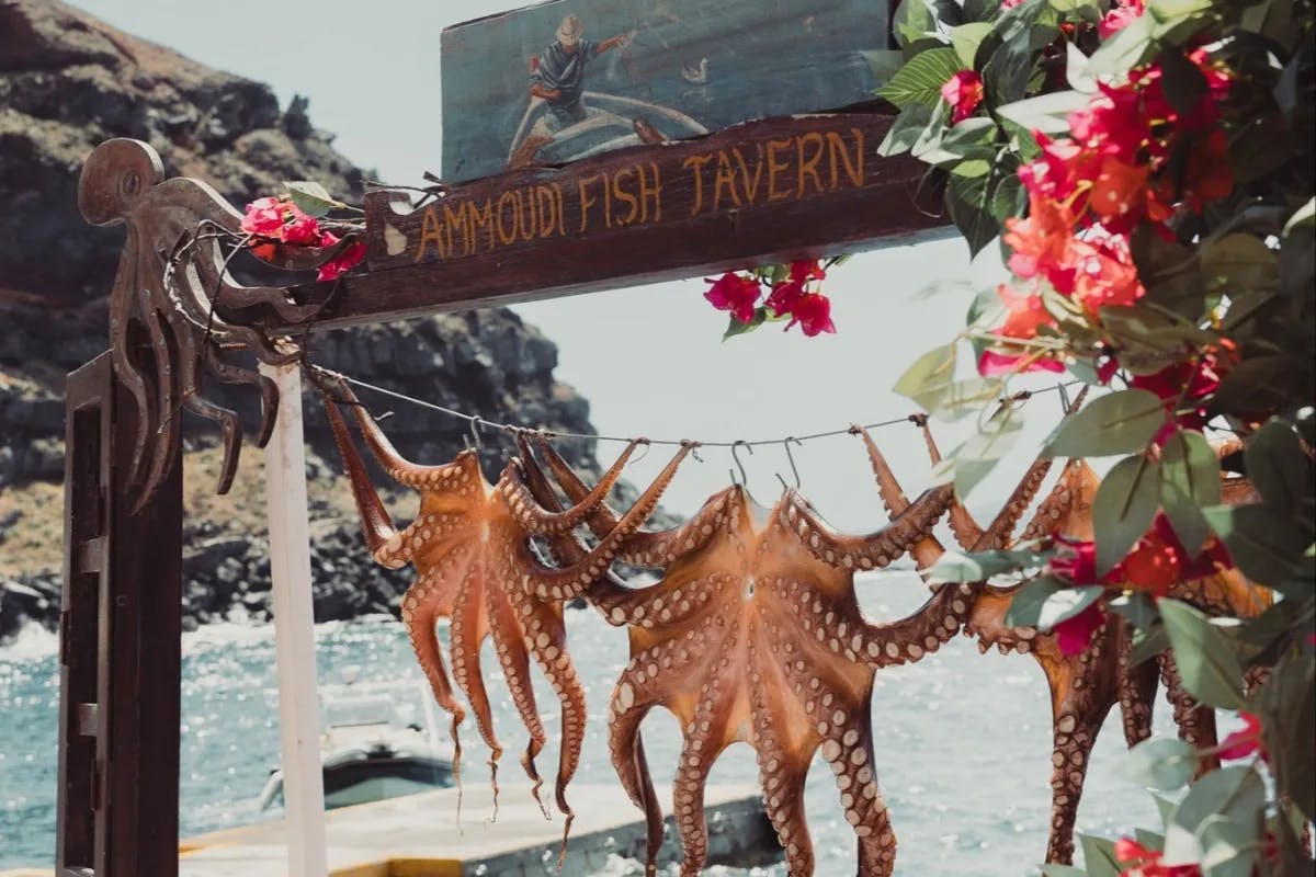 An outdoor wooden archway that says Ammoudi Fish Tavern, with octopi hanging from it and a view of the ocean behind.