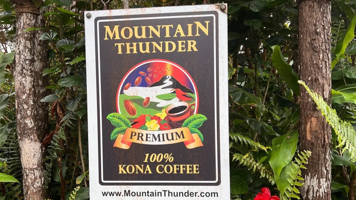 Coffee Plantation with a board saying Mountain Thunder. 