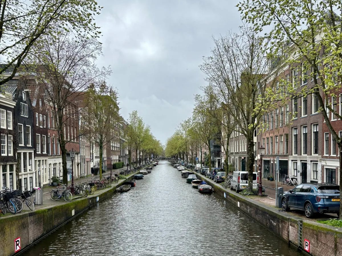 A canal with townhouses and trees along it.