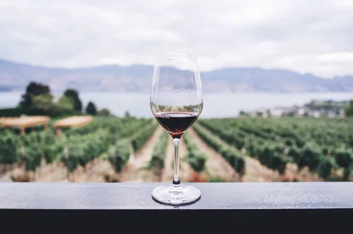 A glass of wine looking over a vineyard that is blurred out in the background. 