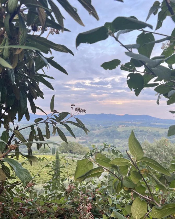 Green field and mountains view.