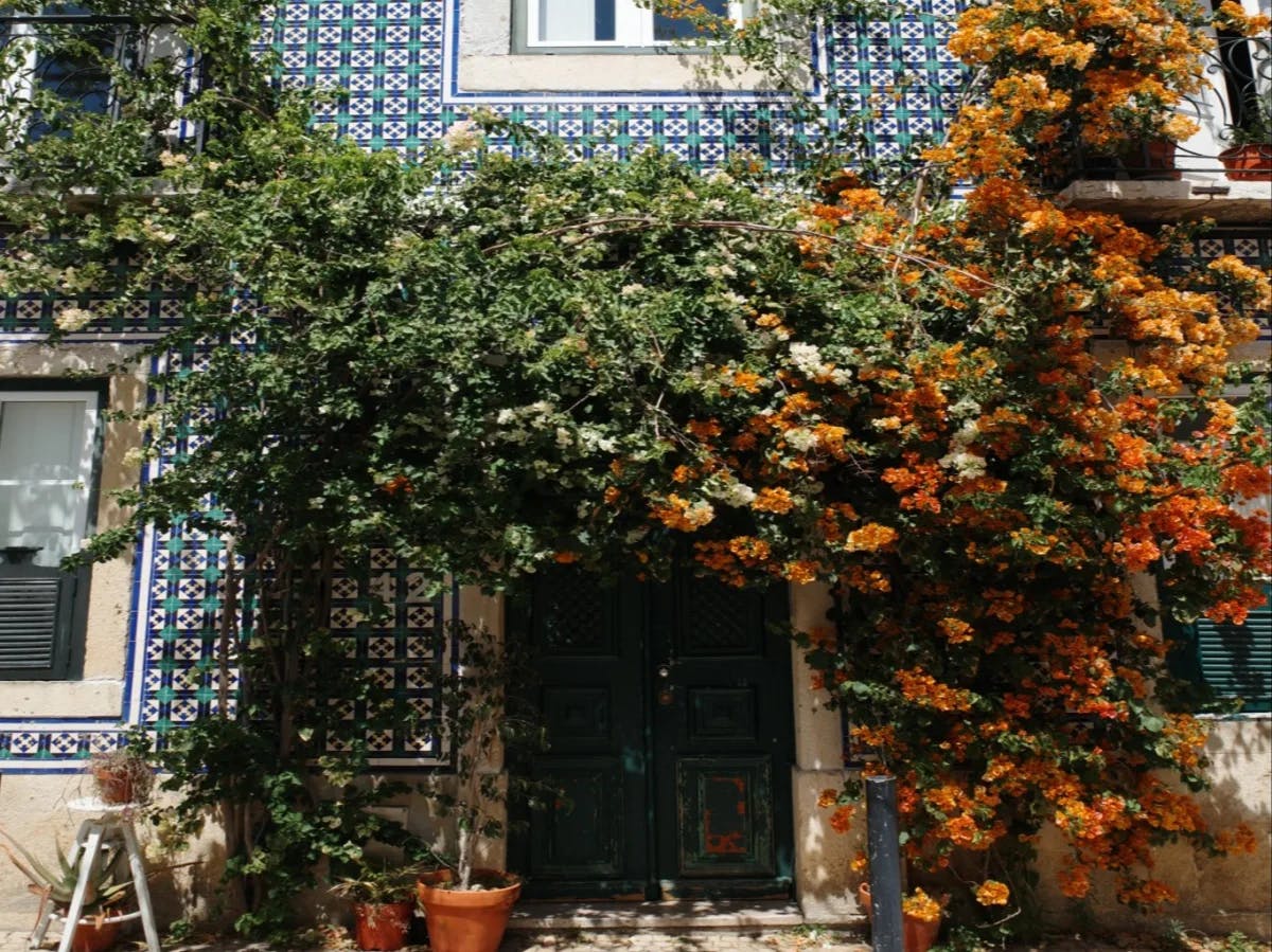 The image depicts a picturesque Portuguese building adorned with vibrant tiles, lush greenery, and bright orange flowers.