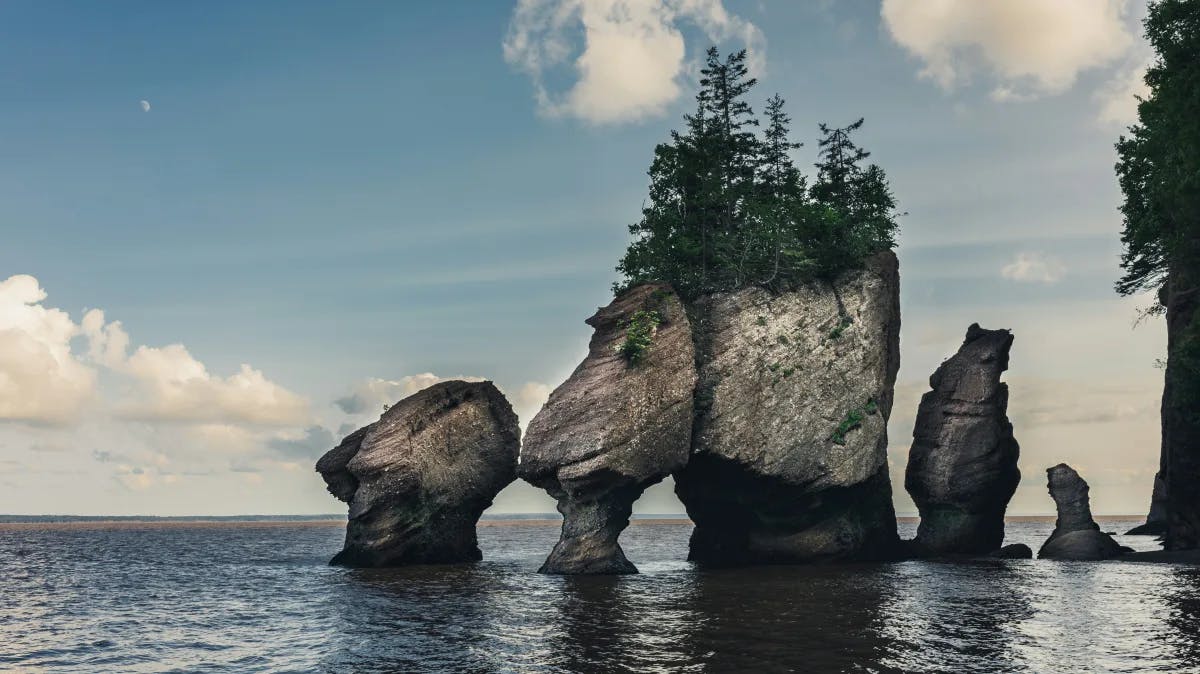 Large rock formations sticking out of the water with trees on top at Hopewell Rocks.