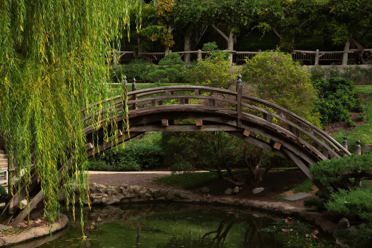 The image depicts an arched wooden bridge over a creek with lush greenery and trees surrounding it at Foot bridge at Huntington Botanical Garden.