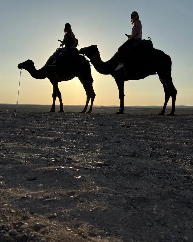 Camel ride under sunset