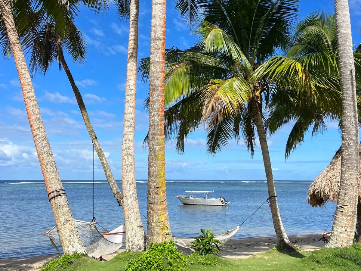 A lawn with palm trees and a hammock at the edge of the water with a boat in the distance.