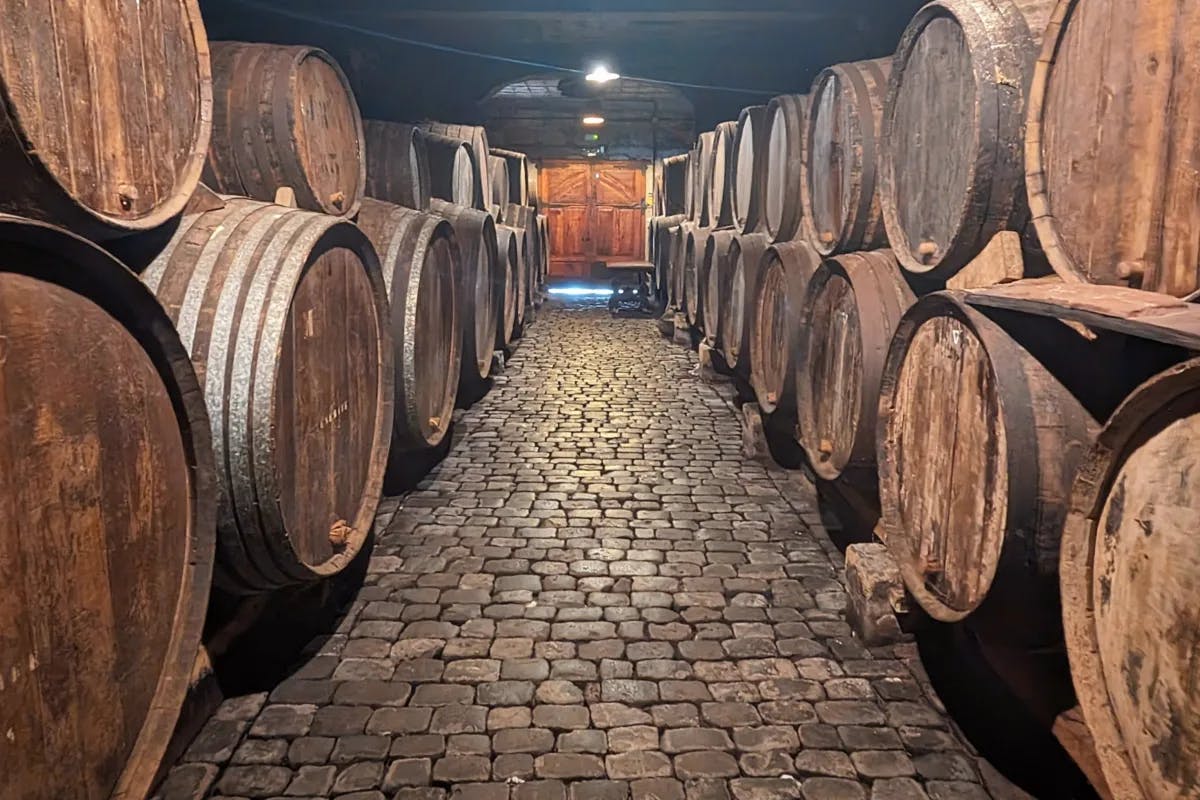 Barrels of wine in a cobblestone cellar at Bodegas Monje.