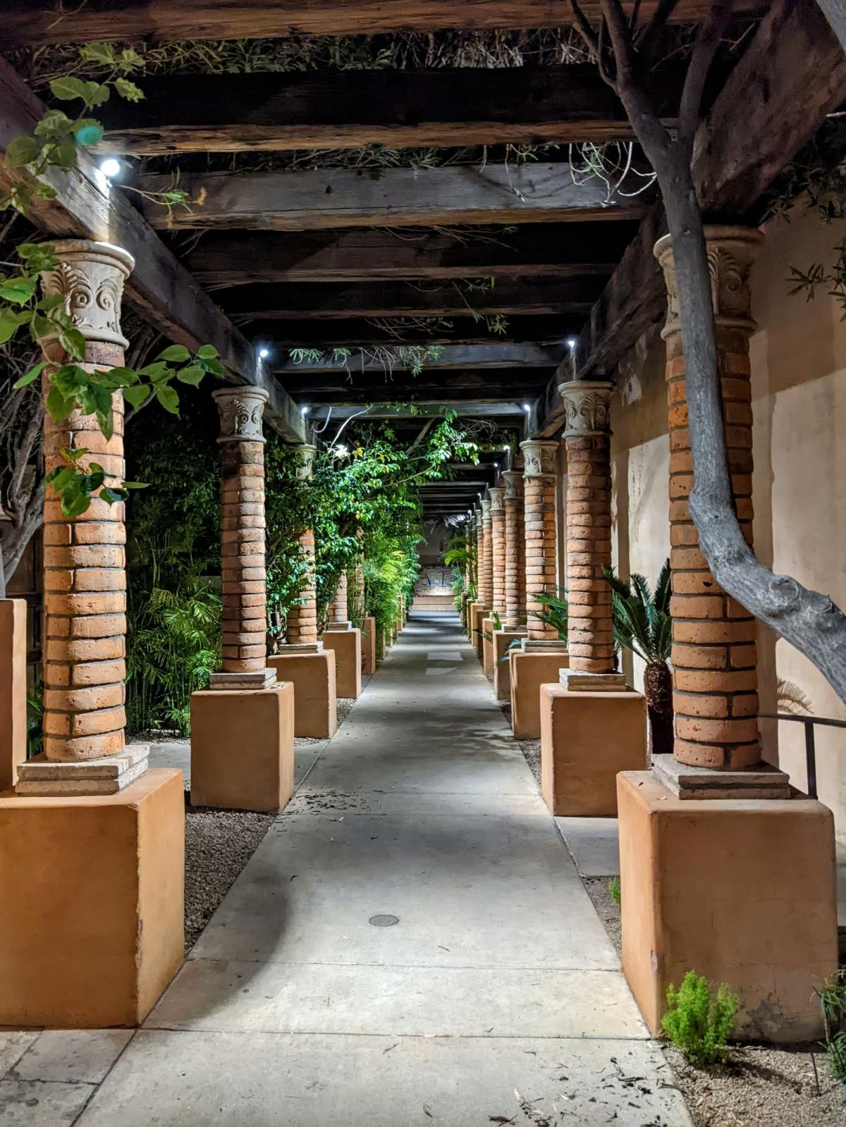 A picture of a path through the resort with terracota pillars either side and crawling greenery