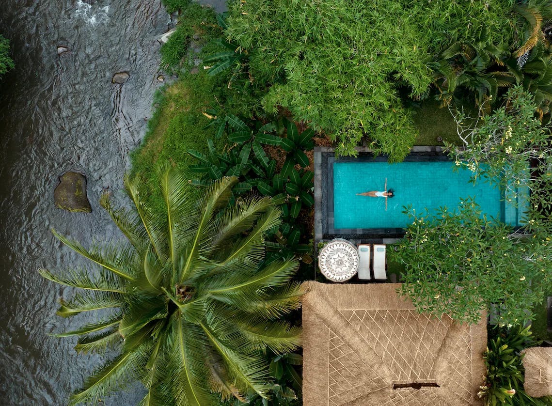 The image offers an aerial perspective of a swimmer in a rectangular pool amidst lush greenery, adjacent to a flowing river.