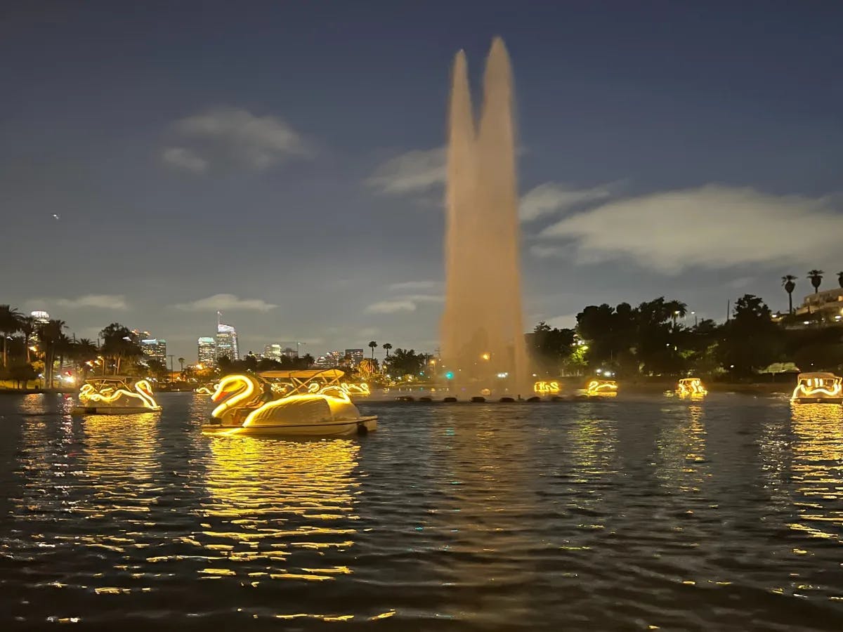 ECHO-PARK: A picture of swan swan-shaped boat transporting people across the water during nighttime.