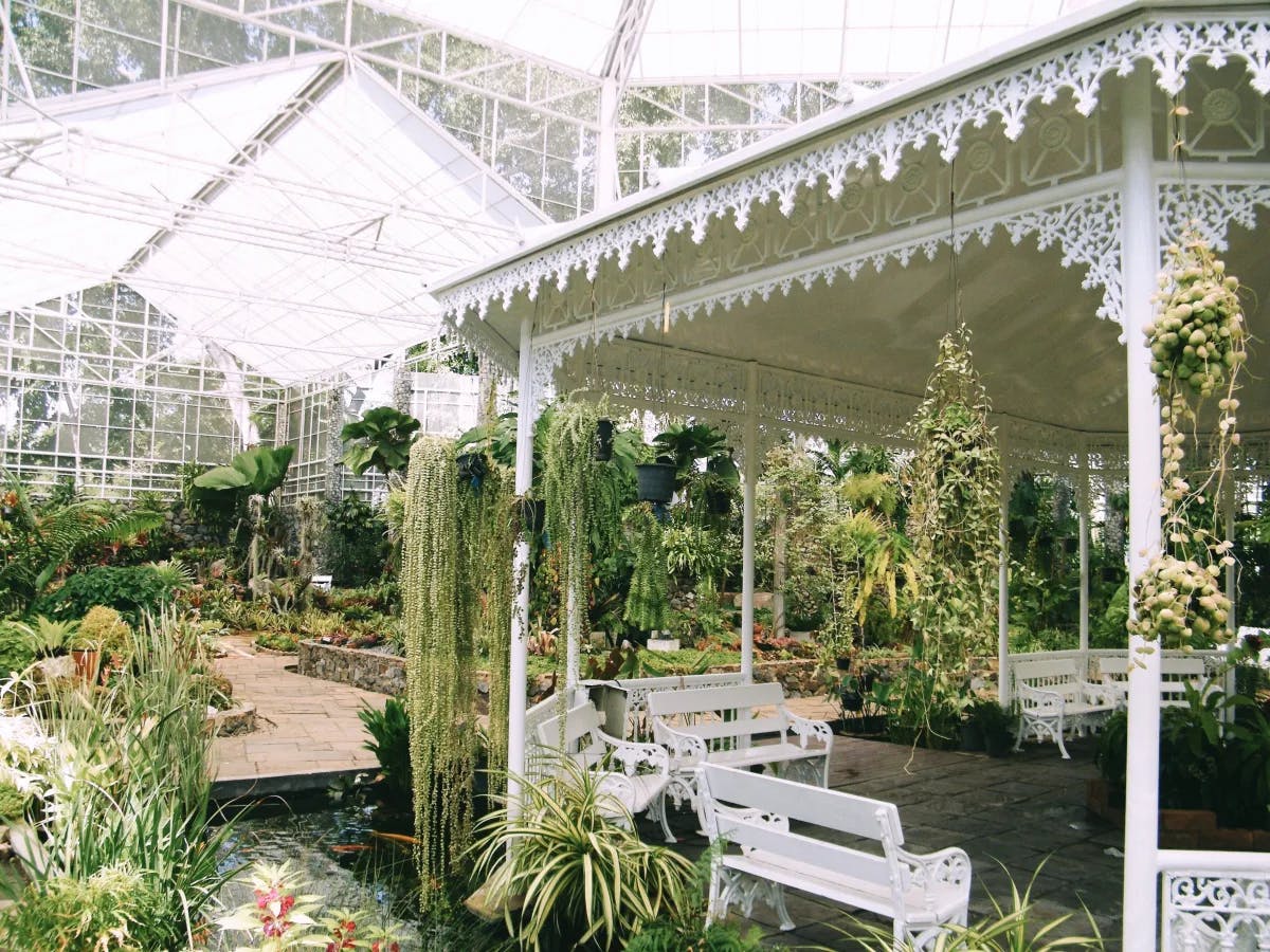 A picture of a botanical garden with white colored benches taken during daytime.