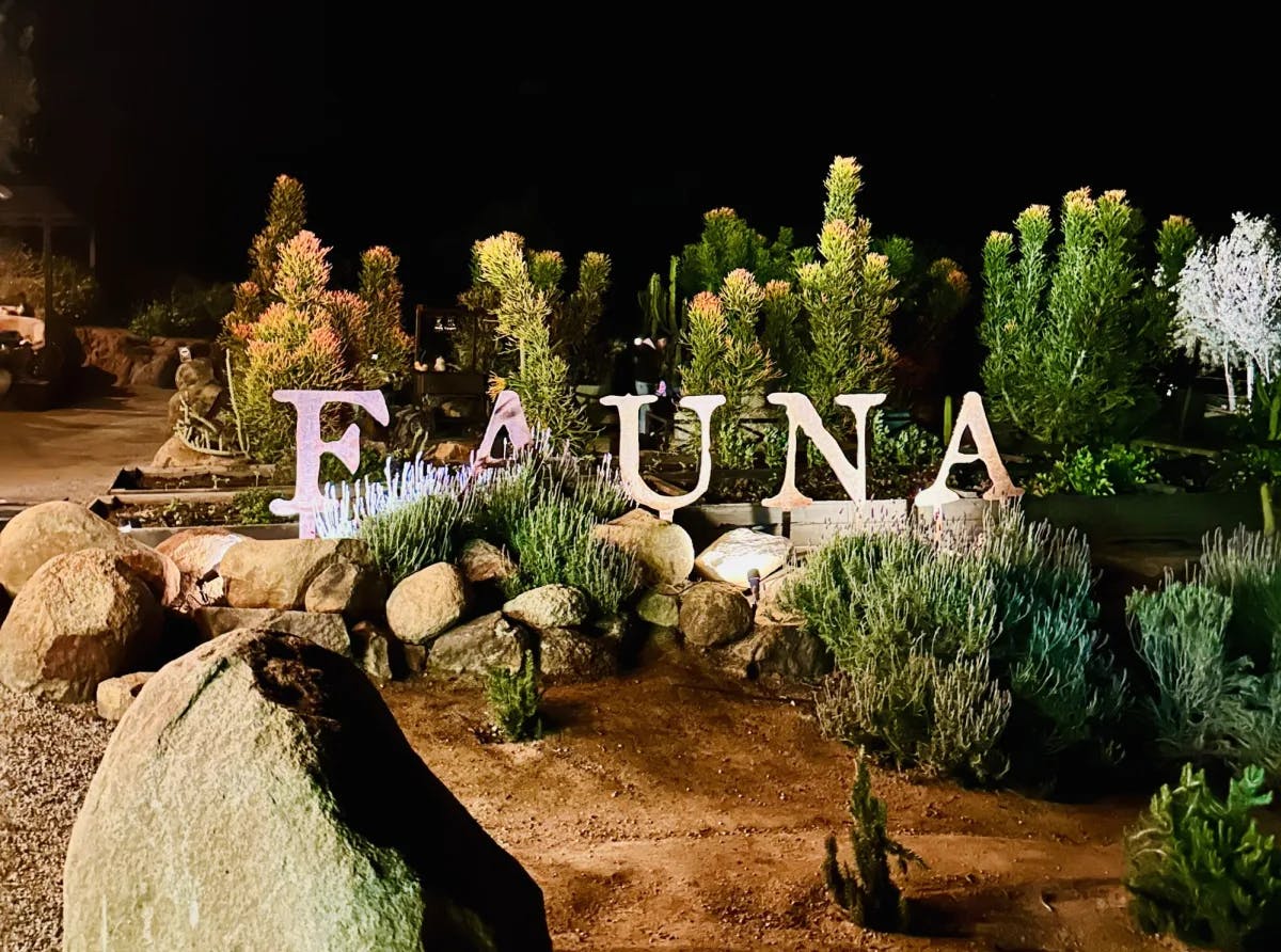 Fauna spelled among plants.