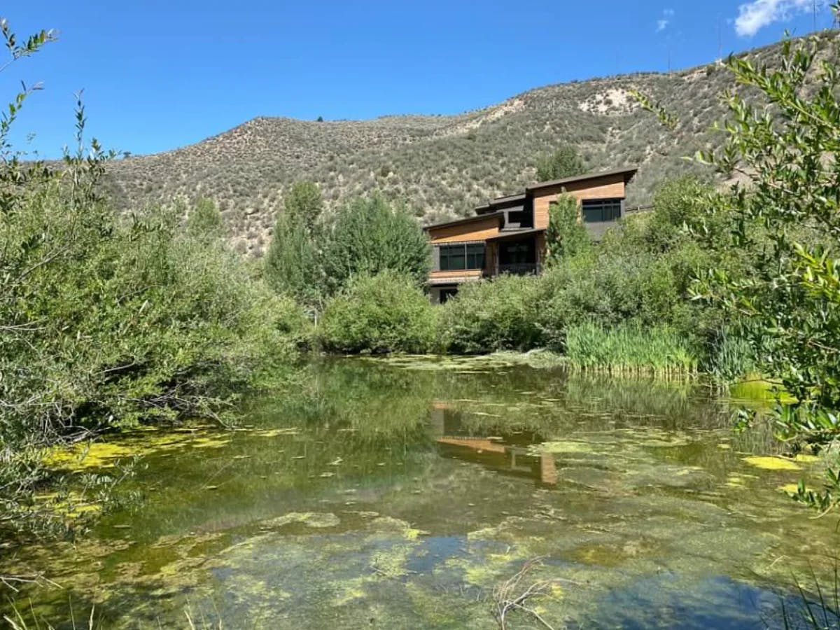 A modern Lodge blending with nature, overlooking a green pond and hilly backdrop.