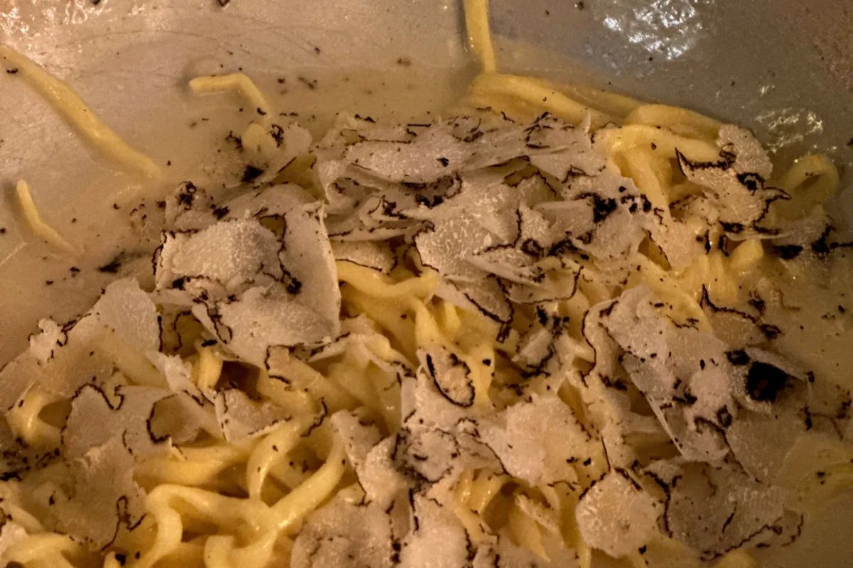 Truffle-Pasta-rome-travel-guide