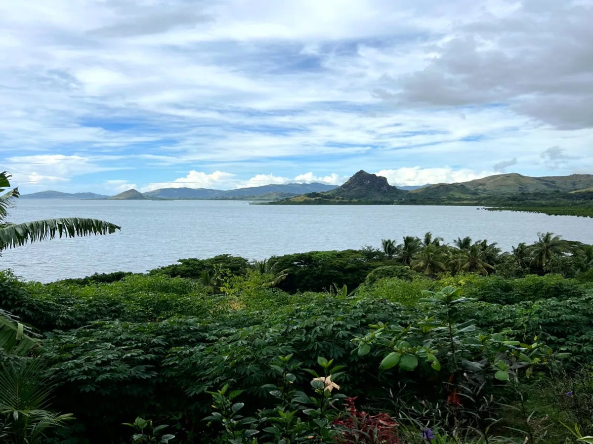 A serene green landscape with a water body in the distance under a cloudy sky.