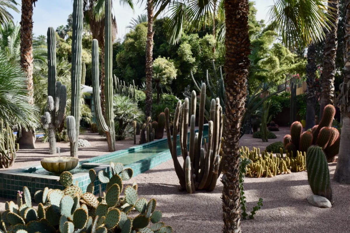 Jardin Majorelle is a vibrant masterpiece of art and nature.