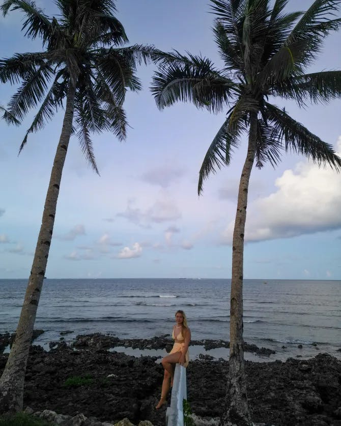 Palm trees on the beach