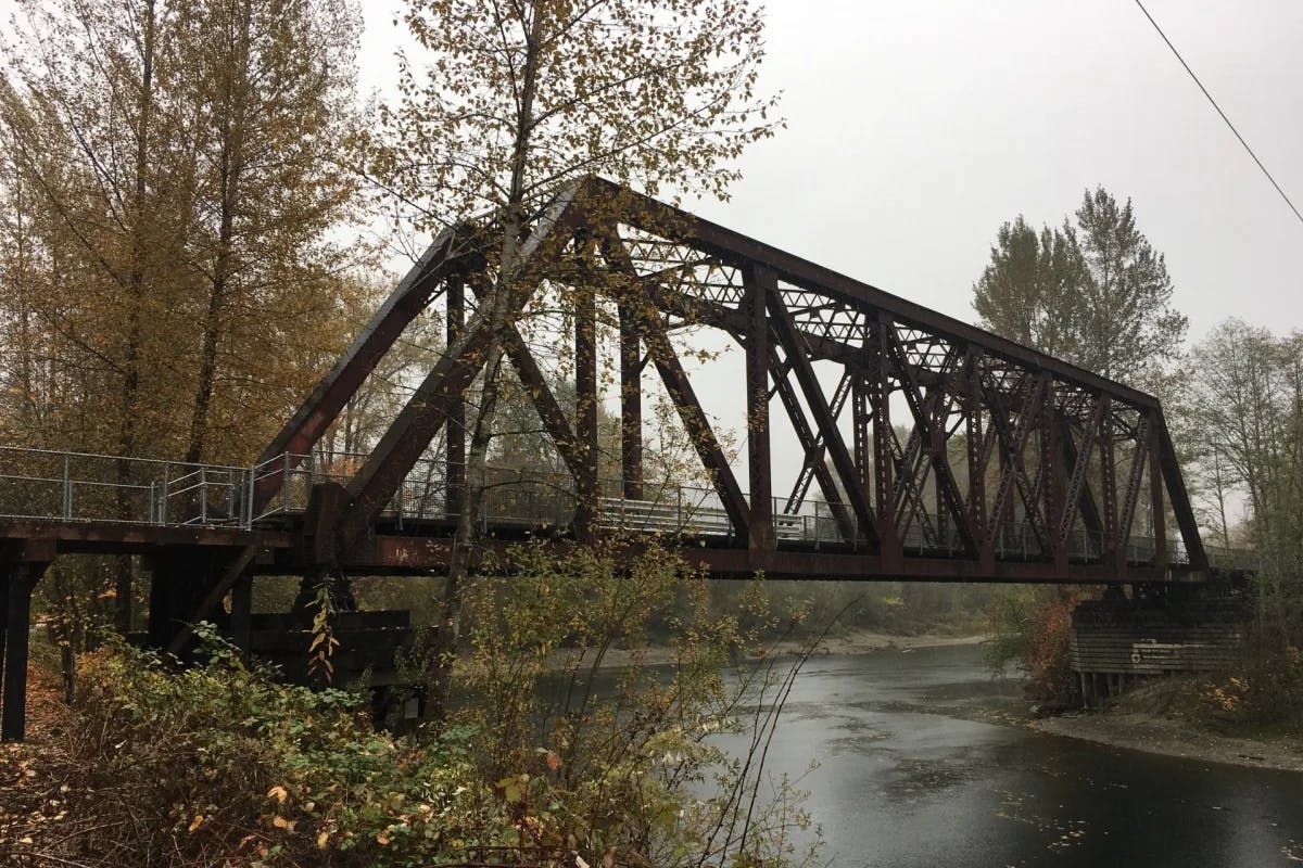 A view of the steel, Reinig Bridge (also called Ronette's Bridge), in the middle of a forest on a cloudy day.