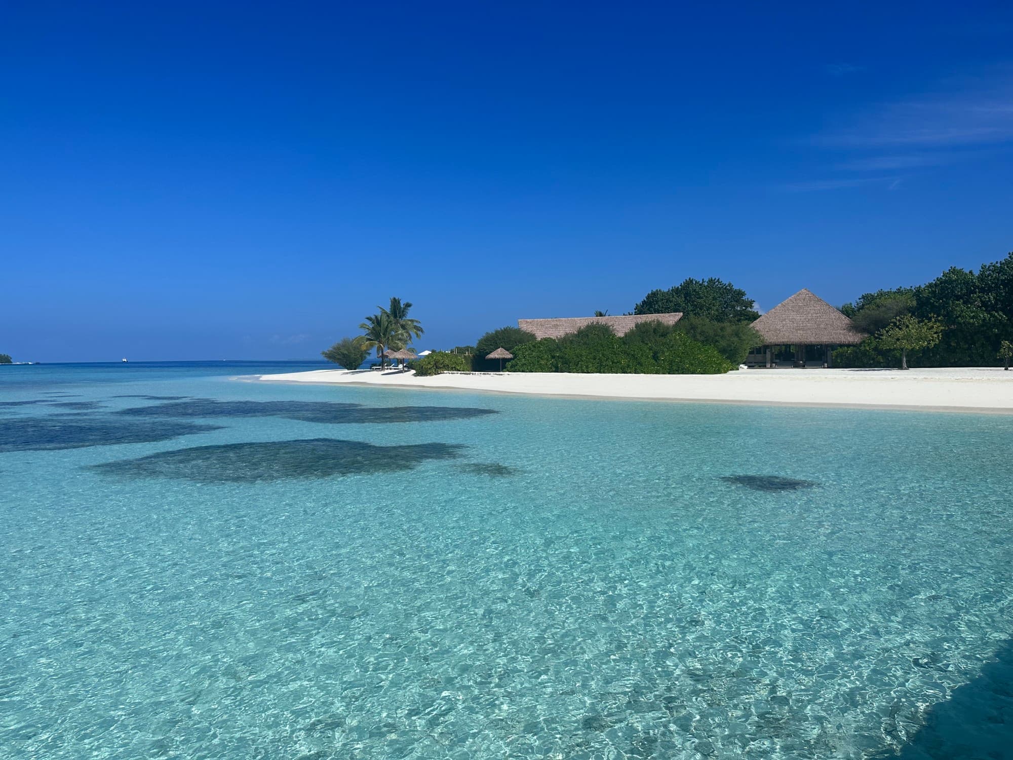 A stunning photo of crystal-clear blue waters and a resort in the distance, surrounded by white sand and palm trees. 