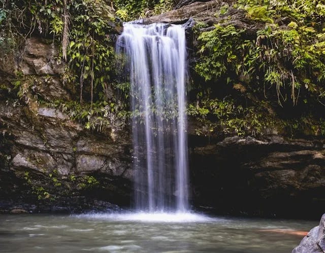 A raging waterfall with foliage and a swimming area