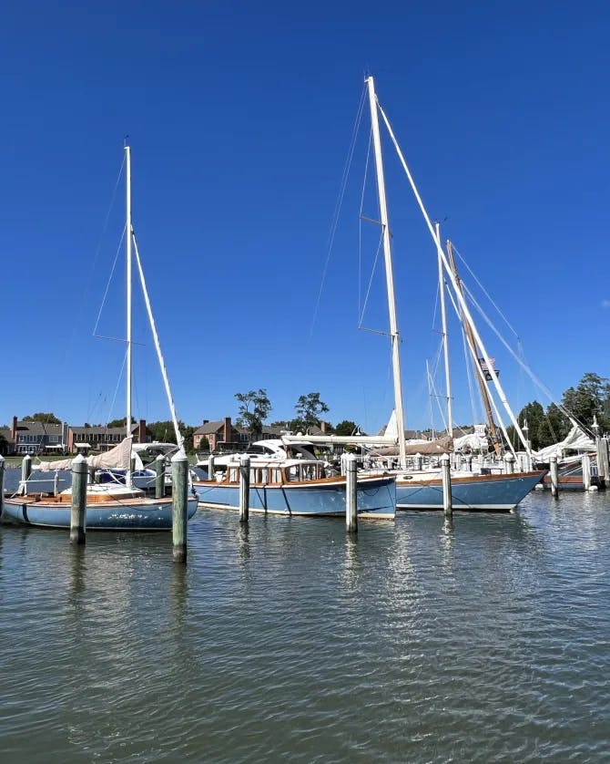 Picture of boats