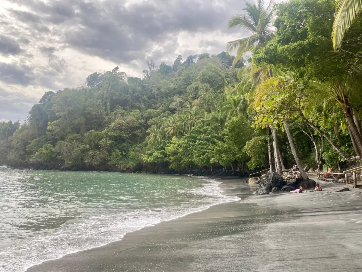 A beautiful beach view with a cloudy sky and lush greenery.