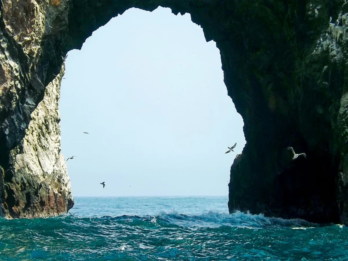 A natural archway carved into a rocky cliff creates a majestic gateway over the water, framed by the flight of birds.