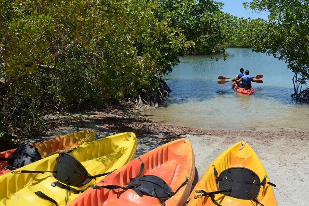 Oleta River State Park offers its natural beauty and mangrove forests.