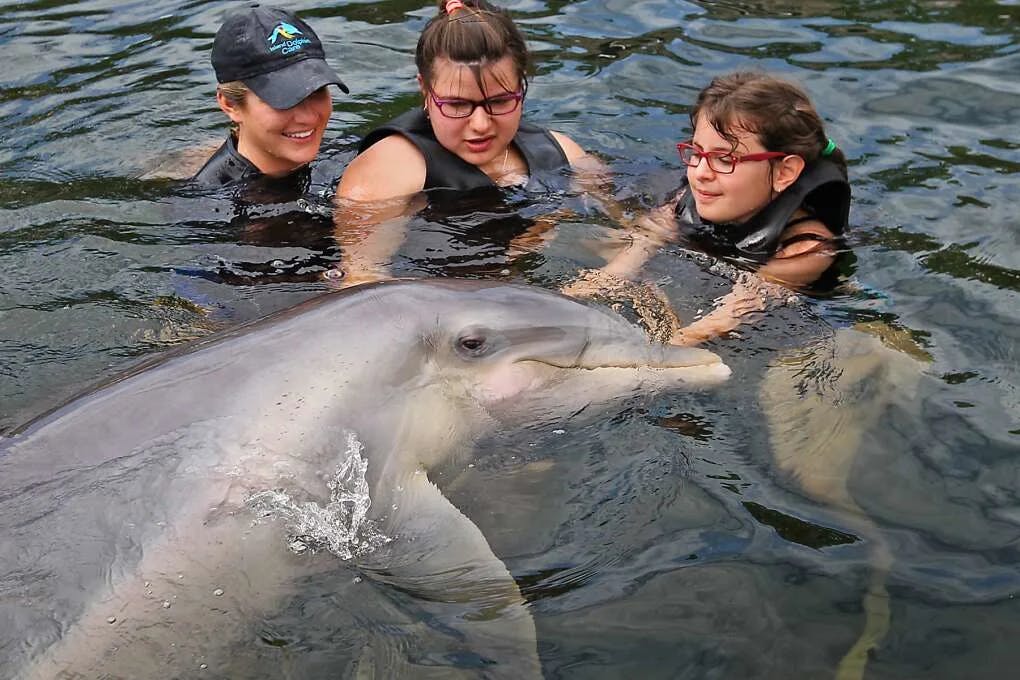 Dolphin Therapy is a fun and educational swim-with-the-dolphin tour for the whole family in Panama City Beach near 30A.