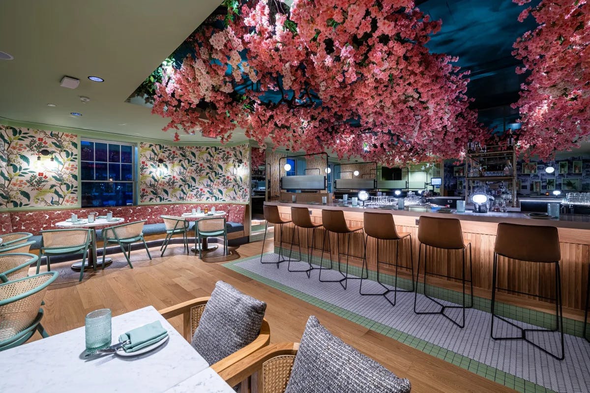 Ambar Shaw restaurant, with wood floors, colorful wallpaper and a bar with cherry blossoms hanging overhead.