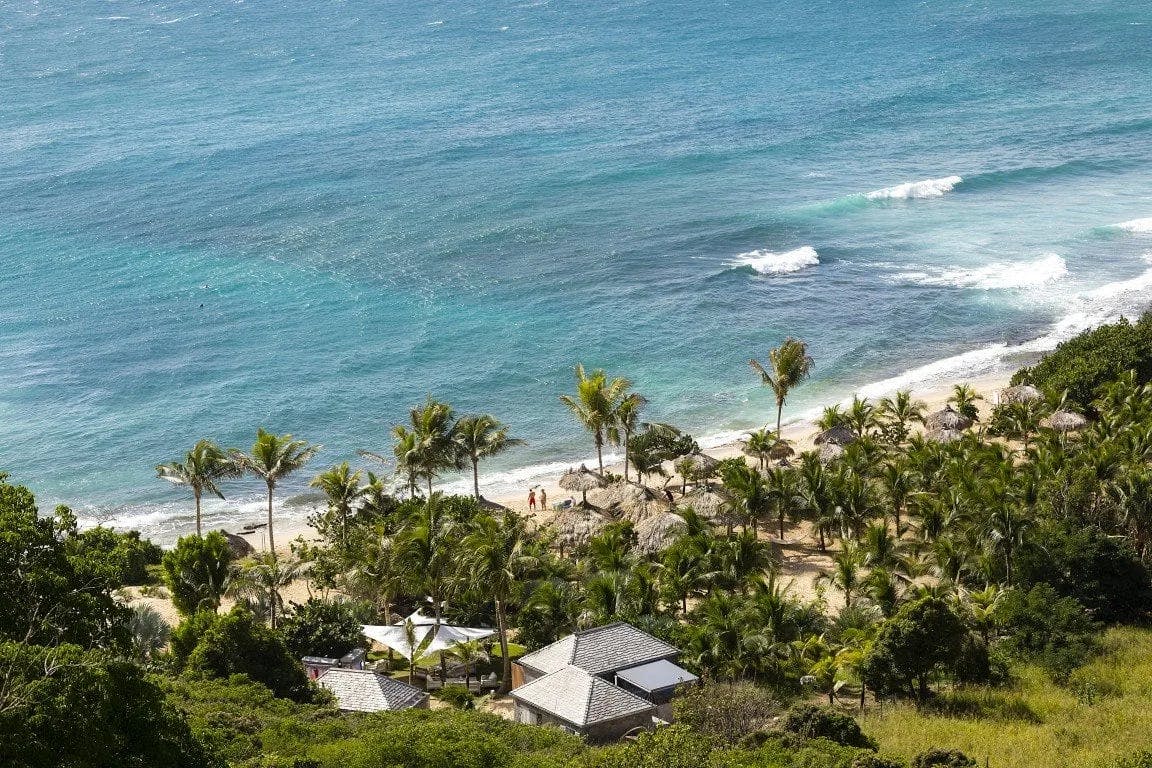 An overview of the beach and palm trees in St. Barth's next to the vibrant blue sea. 