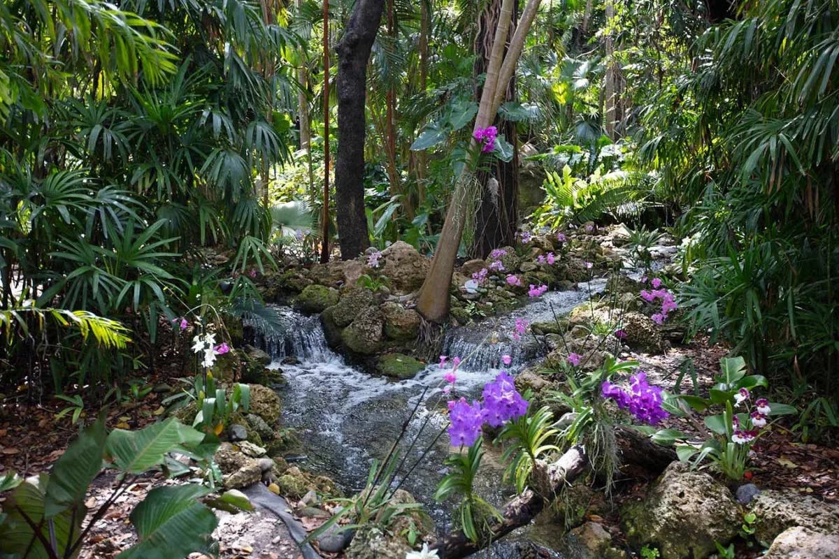 Fairchild Tropical Botanical Garden is a lush paradise in Miami, Florida.