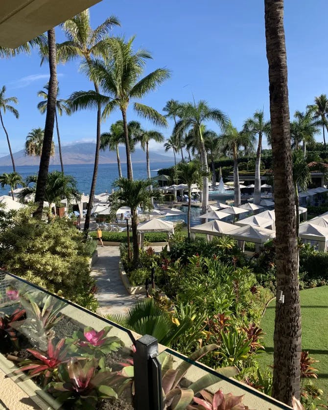 A view of a beach and a pool.