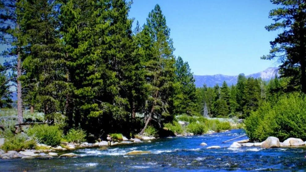 River surrounded by green trees.