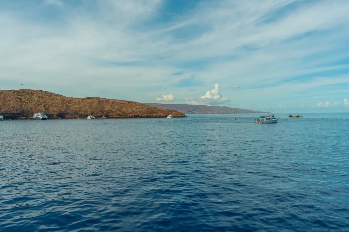 boats with snorkelers