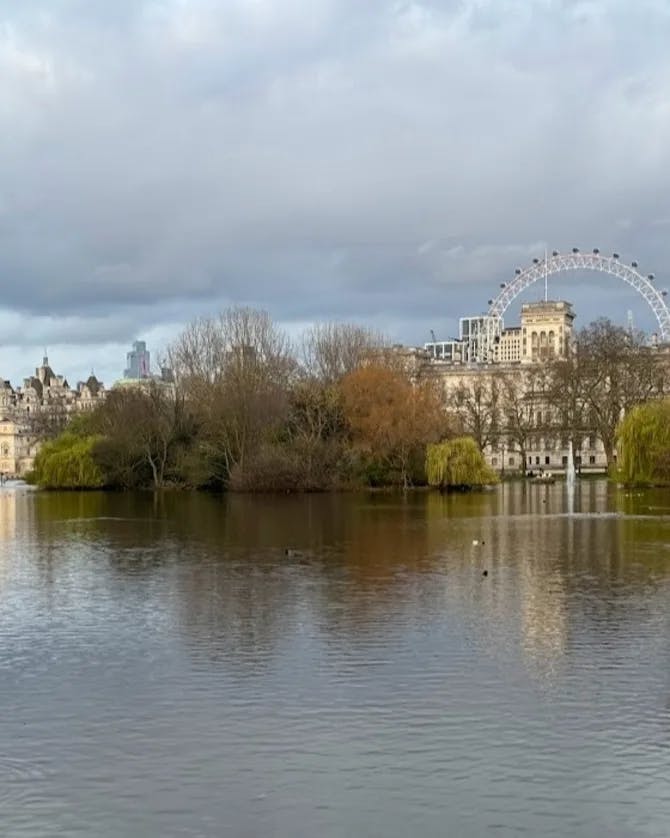 A view of a body of water and a ferris wheel in the distance
