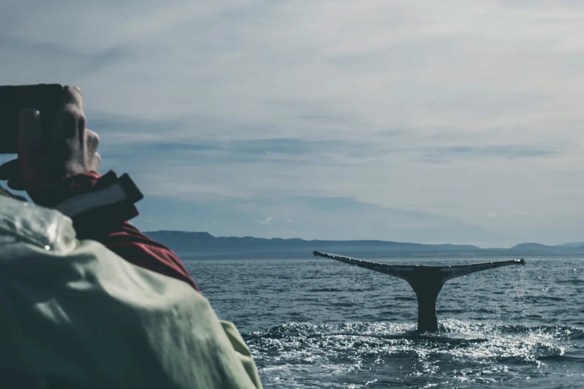 A contemplative observer gazes at a whale’s tail above the ocean, with distant mountains under a partly cloudy sky.