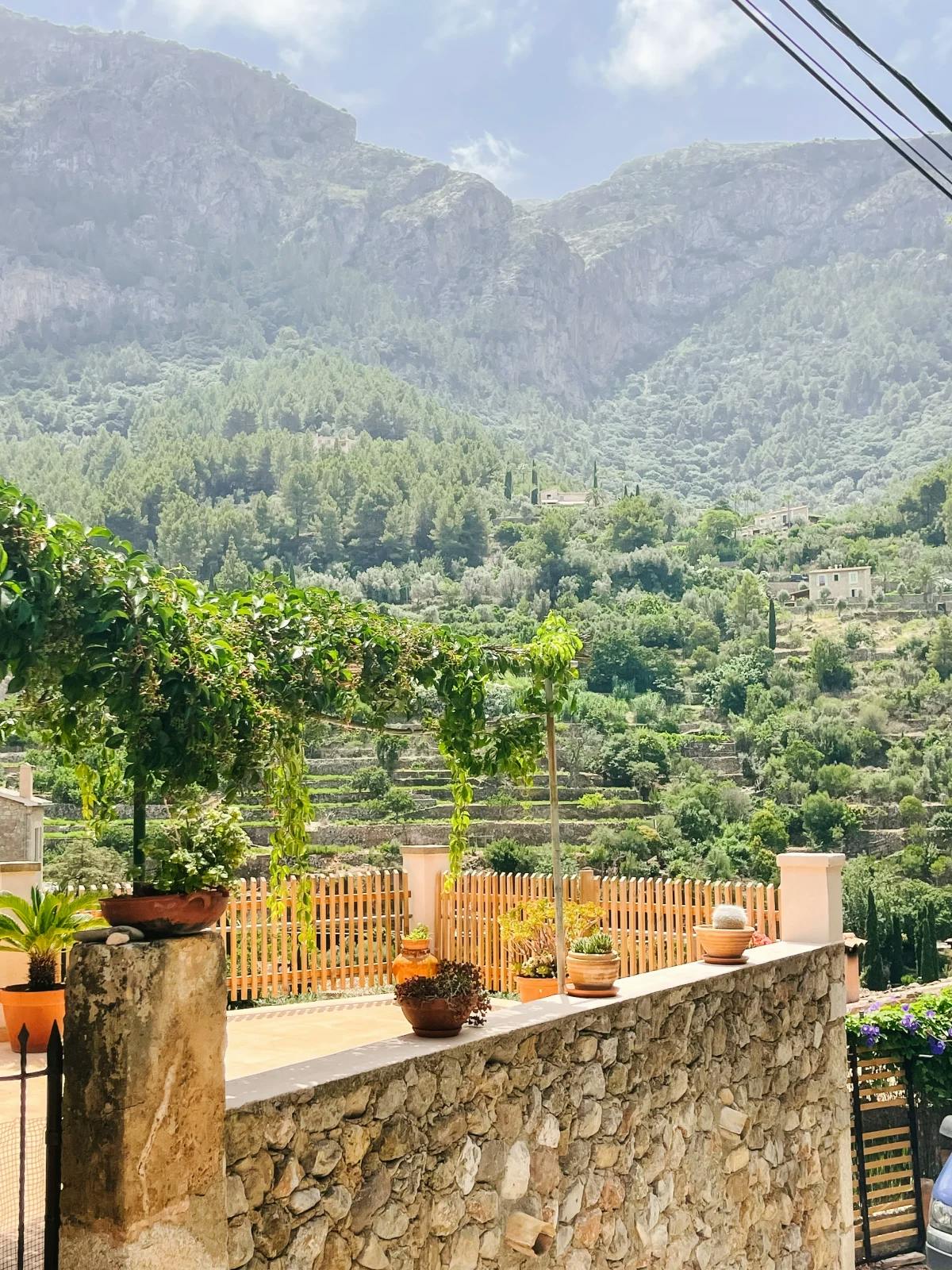 A stone wall in front of a grassy vineyard