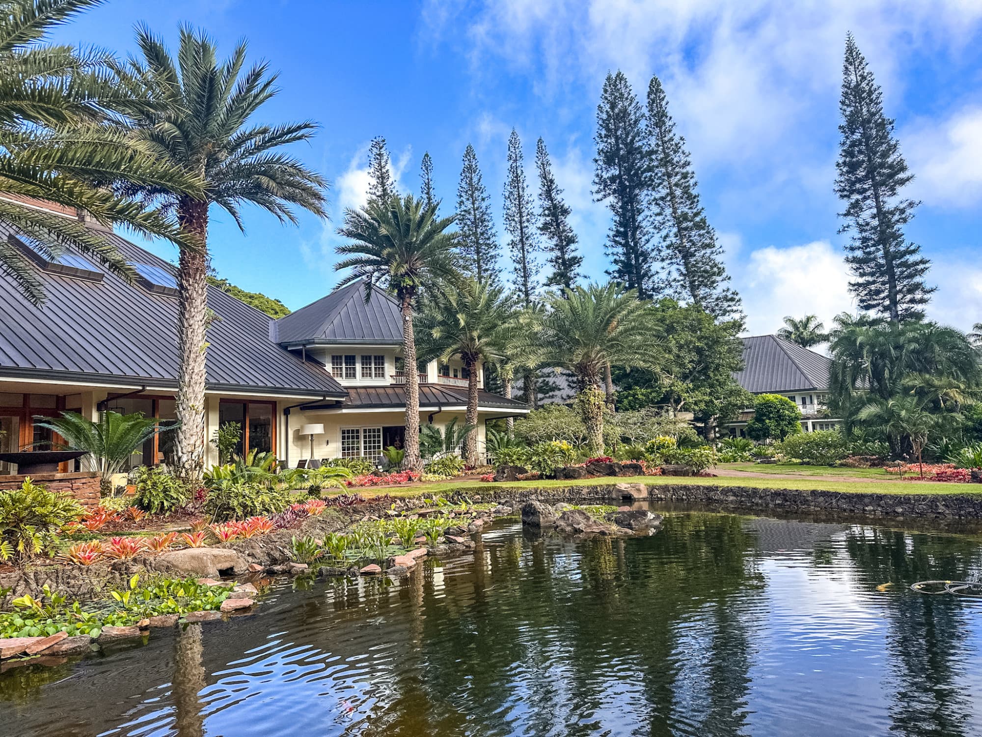 Lake and lakeside view