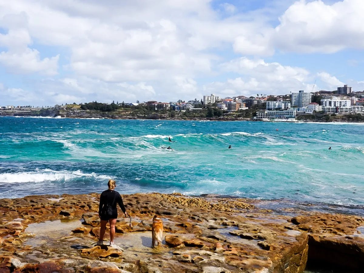 Bondi Beach Stroll