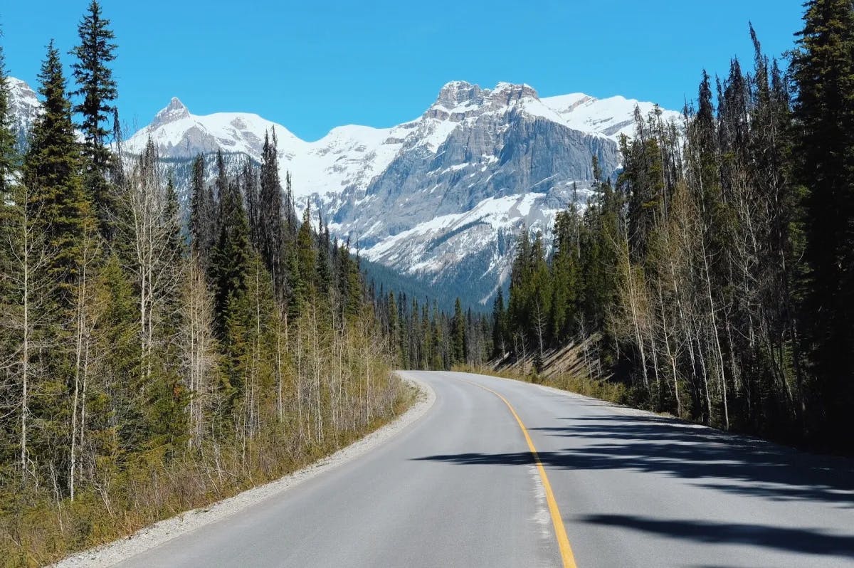 A road going towards snow covered mountains. 