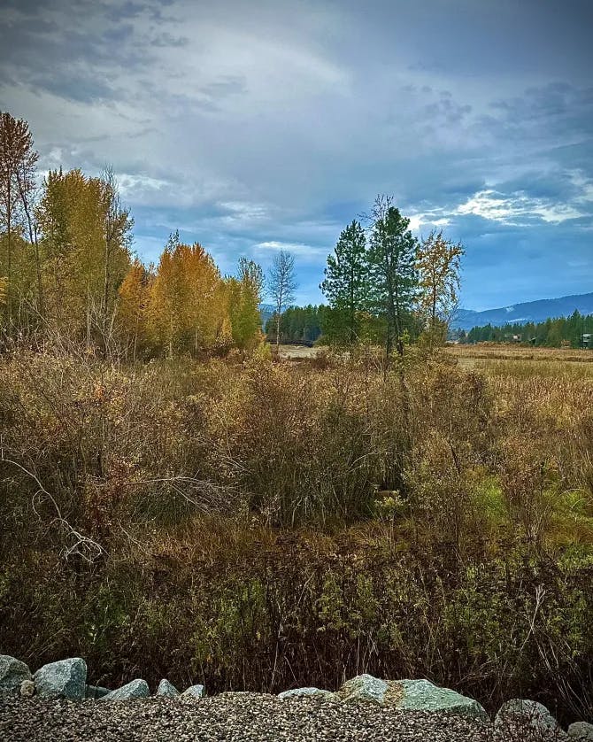 Beautiful autumn view of the fields