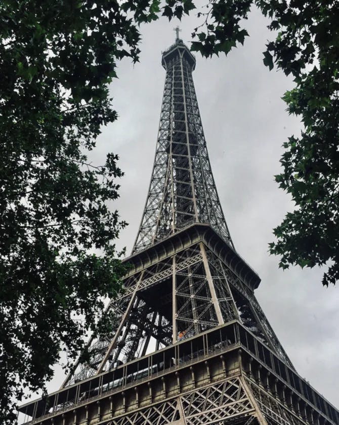 Eiffel tower sneaking through trees