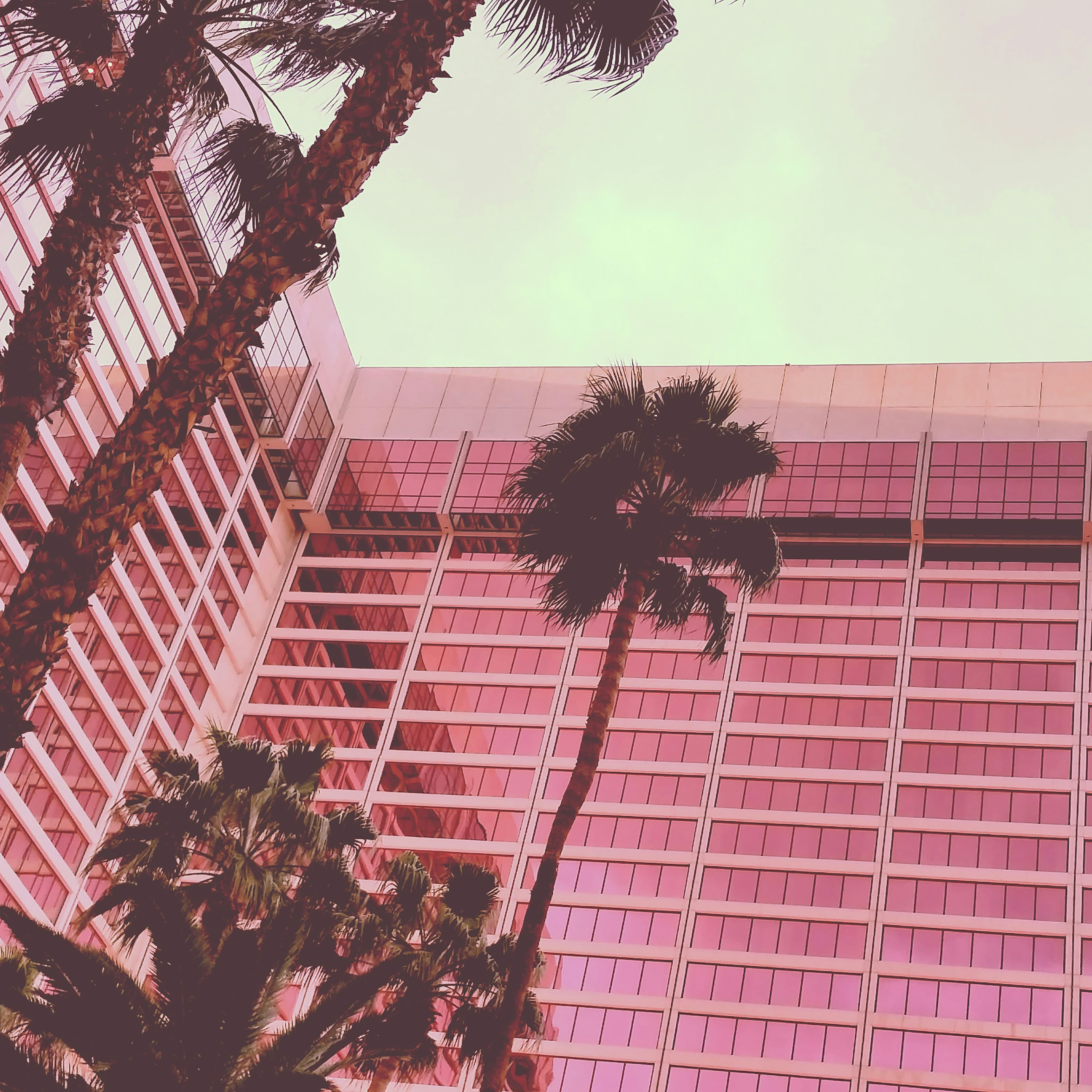 A tilted angle from below of an L-shaped hotel building and palm trees with a pink tint at the Wynn Las Vegas suites.